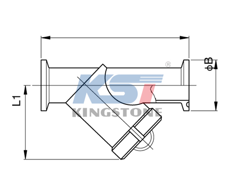 Clamped Y-type strainer